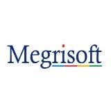  Megrisoft Limited