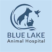  Blue Lake Animal   Hospital